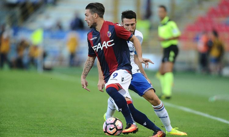 Bolognamania: sempre più Verdi