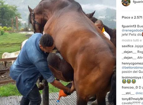 Guarin Stempera La Tensione Pre Derby Raccoglie Lo Sperma Di Un