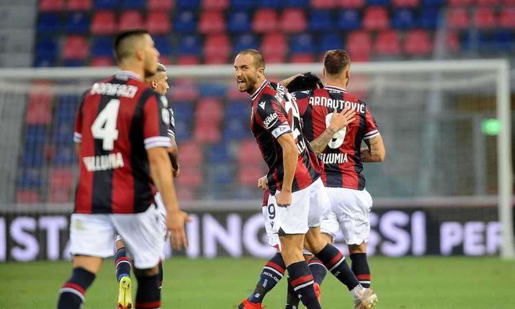 Bologna De Silvestri Ho Cercato Questo Rinnovo Ritiro Punto