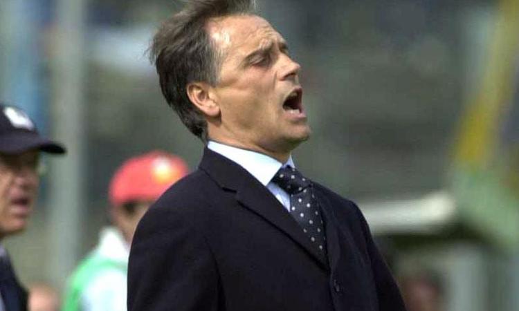 Parmamania:| Colomba troppo prudente