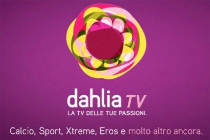 CALCIO ALLA TV. Dahlia in liquidazione, tutto il calcio a Mediaset e Sky