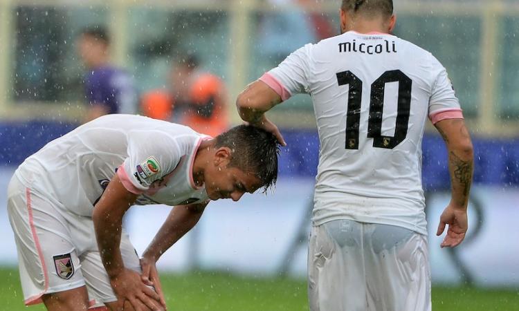 Livorno, Spinelli: 'Miccoli? Troppo vecchio...'