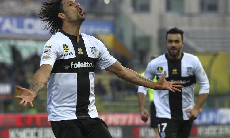Squalifica Amauri: il Parma fa ricorso