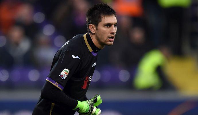Tatarusanu: 'La Fiorentina è la favorita per il terzo posto. Roma, Milan e Inter non hanno niente più di noi'
