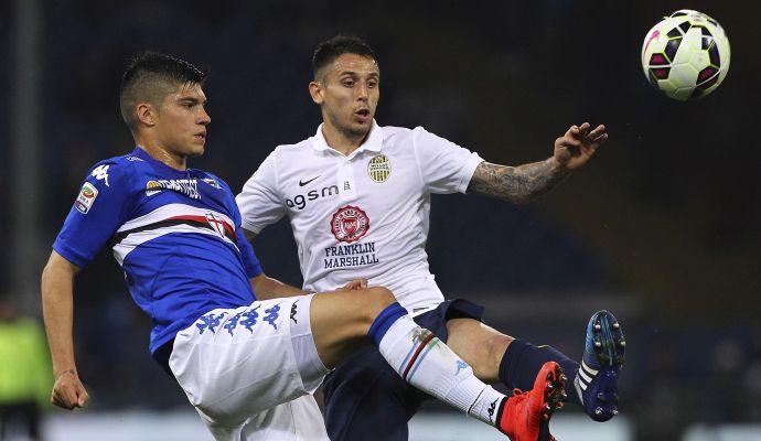 Verona: problemi al ginocchio per Greco