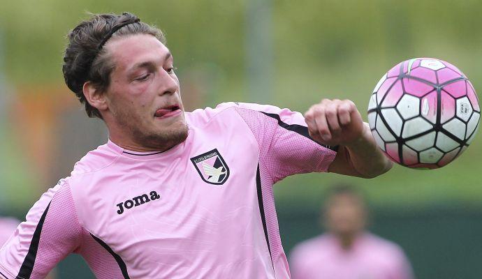 Carpi, Bonacini: 'Mi piace Belotti. Gilardino è fuori portata'