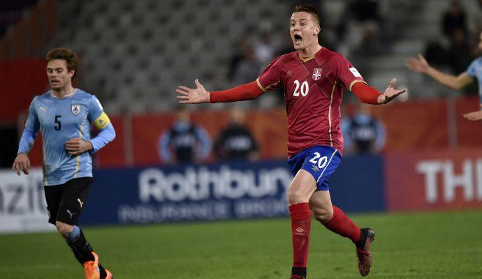 Fiorentina, accettata l'offerta per Milinkovic-Savic