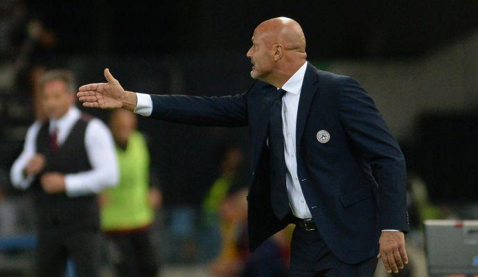 Udinese, Colantuono: 'Problemi col presidente? Str...ate'