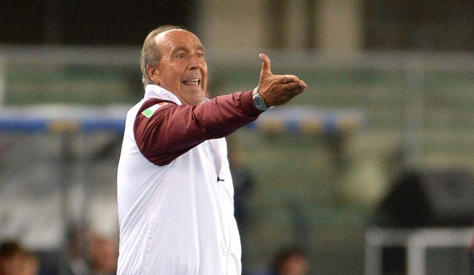 Torino, Formiliano per gennaio