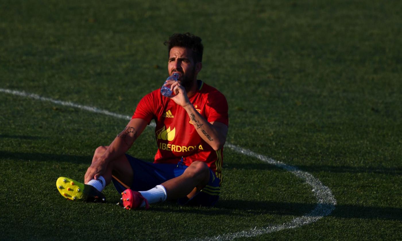 Spagna, Fabregas: 'Ecco cosa serve per vincere'