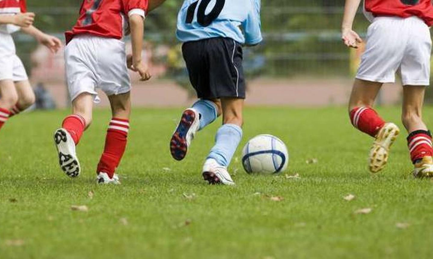 Locatelli: 'Scordiamoci oratovi e campi estivi per i bambini'