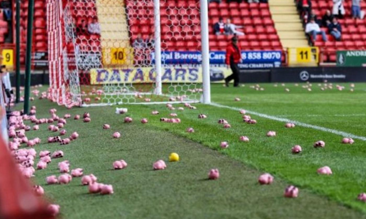 Coventry, nuovo lancio di maialini in campo per protesta! E a fine partita arriva la retrocessione...