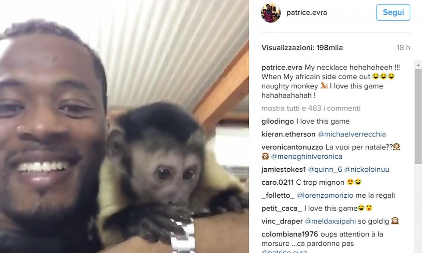  VIDEO Evra e la scimmietta dispettosa: 'Quando emerge il mio lato africano...'