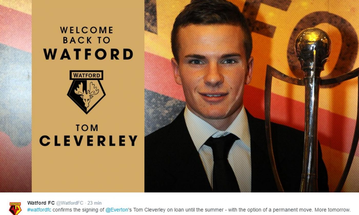 Watford, UFFICIALE: Cleverley in prestito dall'Everton