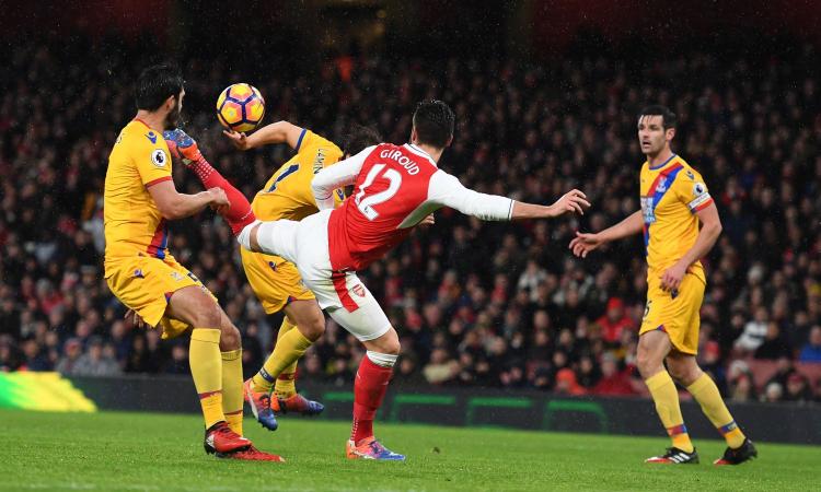 Lo scorpione del nonno tifoso dell'Arsenal: 'Brilliant!'