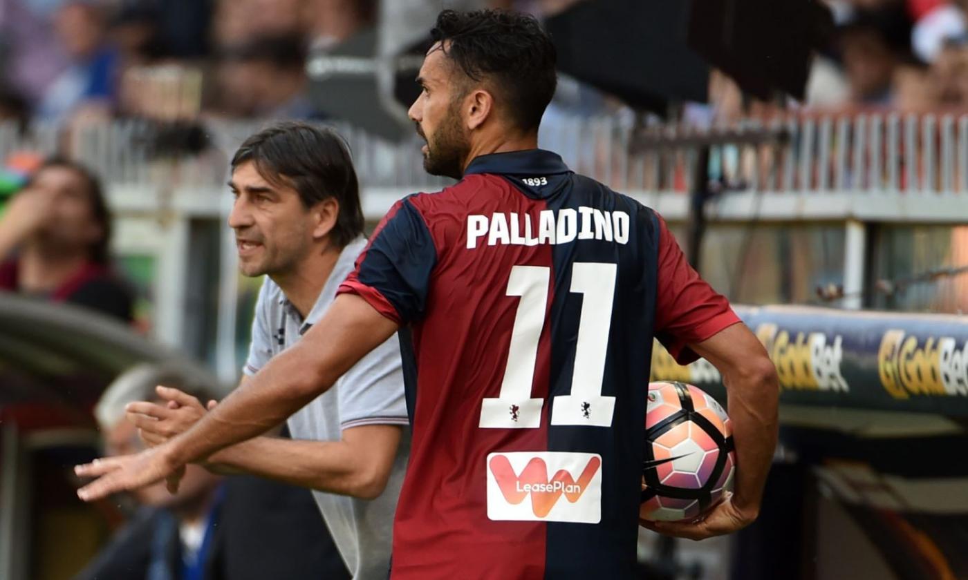 Genoa, Palladino: 'Pareggio assurdo dopo un'ora di grande calcio'