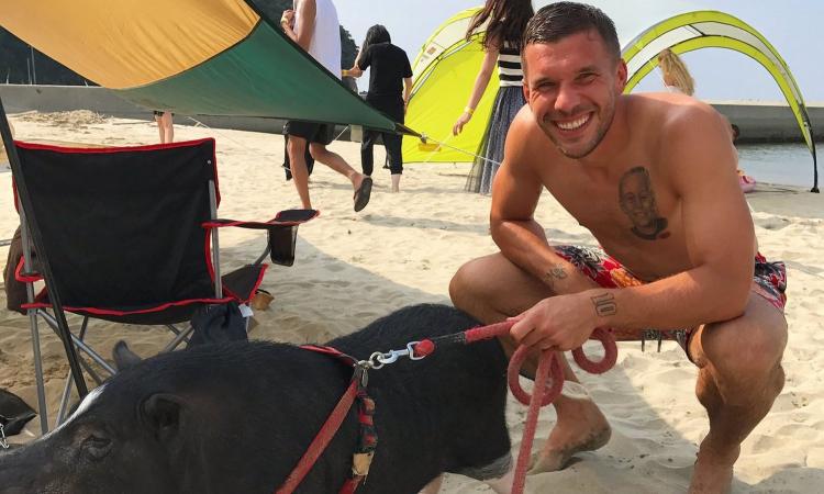 Podolski e il suo nuovo maiale da compagnia: 'Riunito con Schweinsteiger'