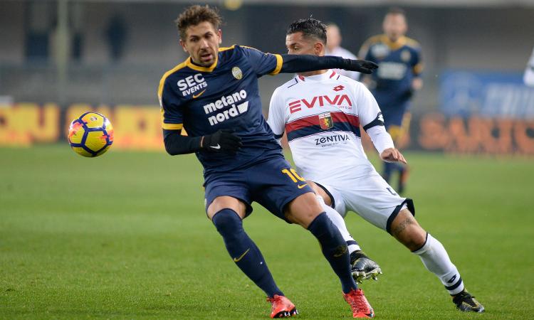 Hellasmania: Cerci, l'attaccante (ri)trovato