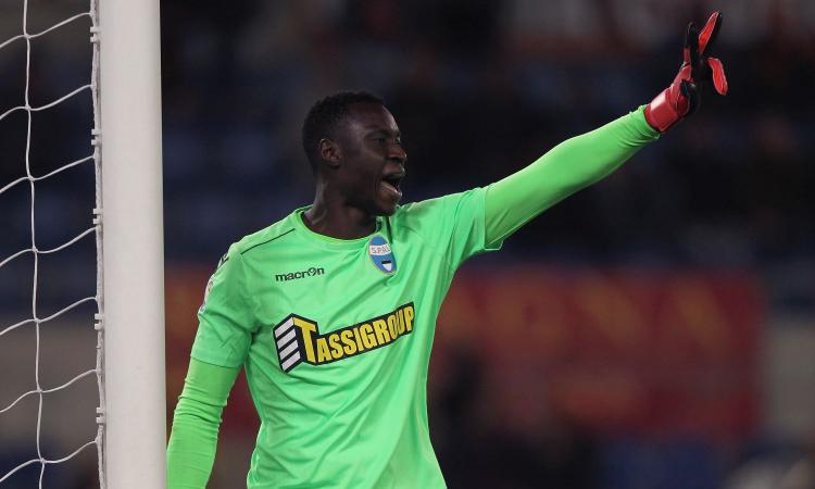 Spal-Torino 2-2: il tabellino VIDEO