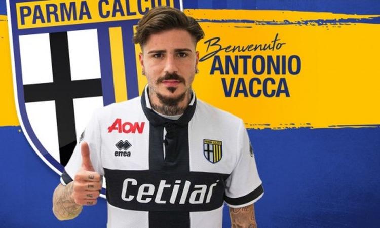 Venezia, Vacca dal Parma: i dettagli