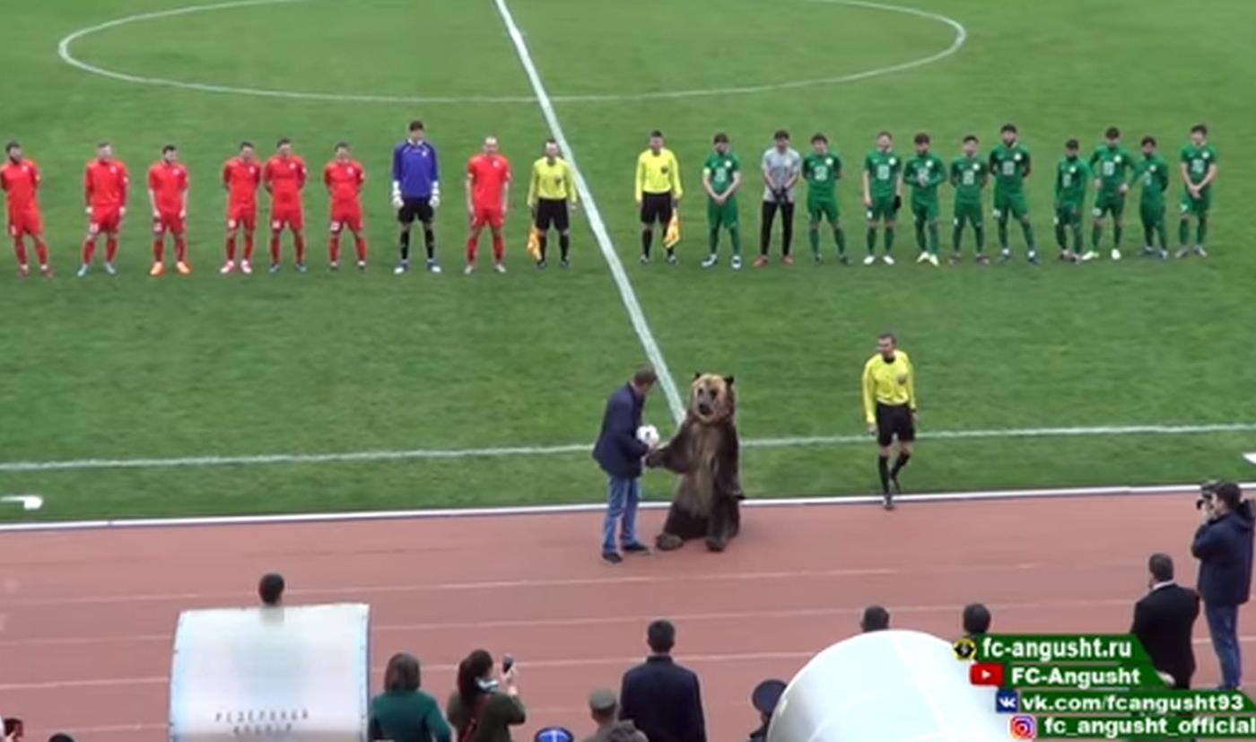 Incredibile in Russia: orso consegna pallone all'arbitro e incita i tifosi, gli animalisti insorgono VIDEO