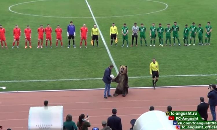 Incredibile in Russia: orso consegna pallone all'arbitro e incita i tifosi, gli animalisti insorgono VIDEO