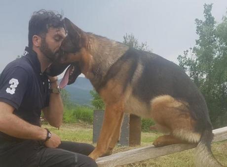 Ucciso Kaos, il cane eroe di Amatrice: l'ultimo delirio di una società malata