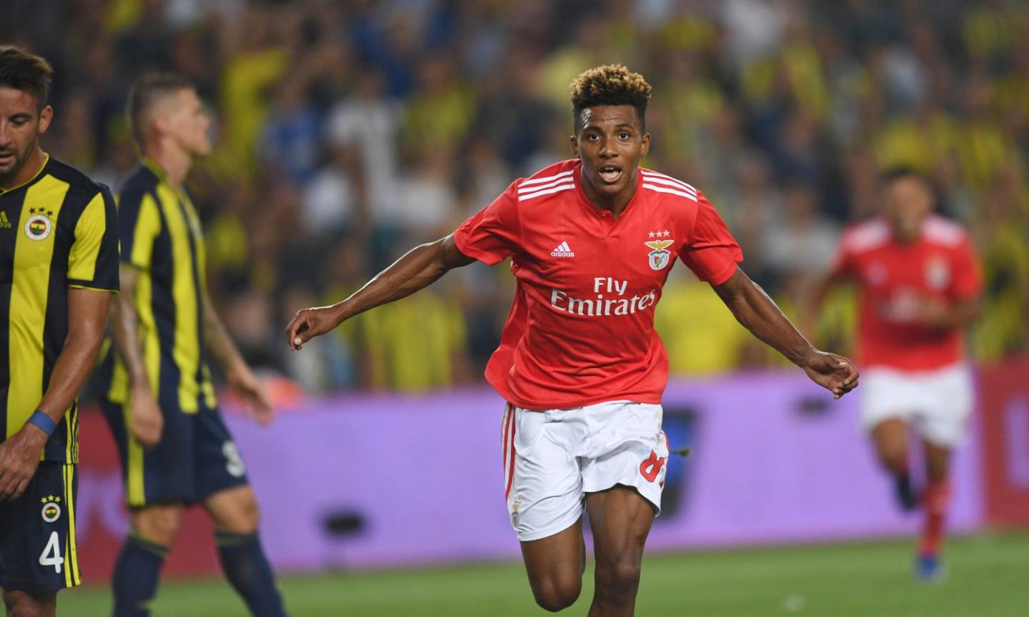 Milan refuse to give up on Benfica sensation