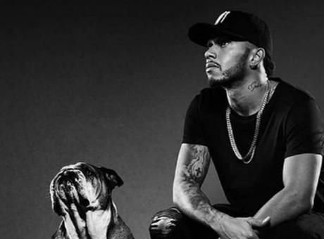 PIT STOP: Roscoe, il cane social di Hamilton che guadagna 700 dollari al giorno con Instagram FOTOGALLERY