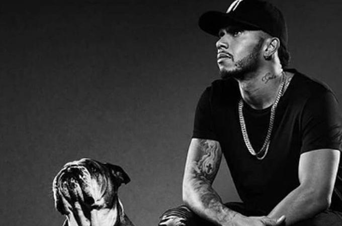 PIT STOP: Roscoe, il cane social di Hamilton che guadagna 700 dollari al giorno con Instagram FOTOGALLERY