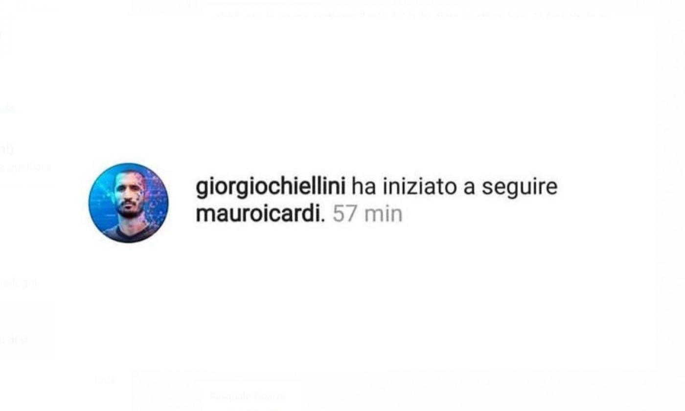 Juve, indizio social: Chiellini inizia a seguire Icardi su Instagram