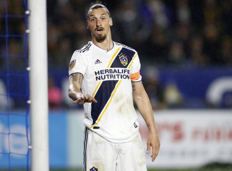 Bologna, Sabatini spegne il sogno Ibrahimovic: 'Non viene, ha scelto altro'. Milan e Napoli attendono