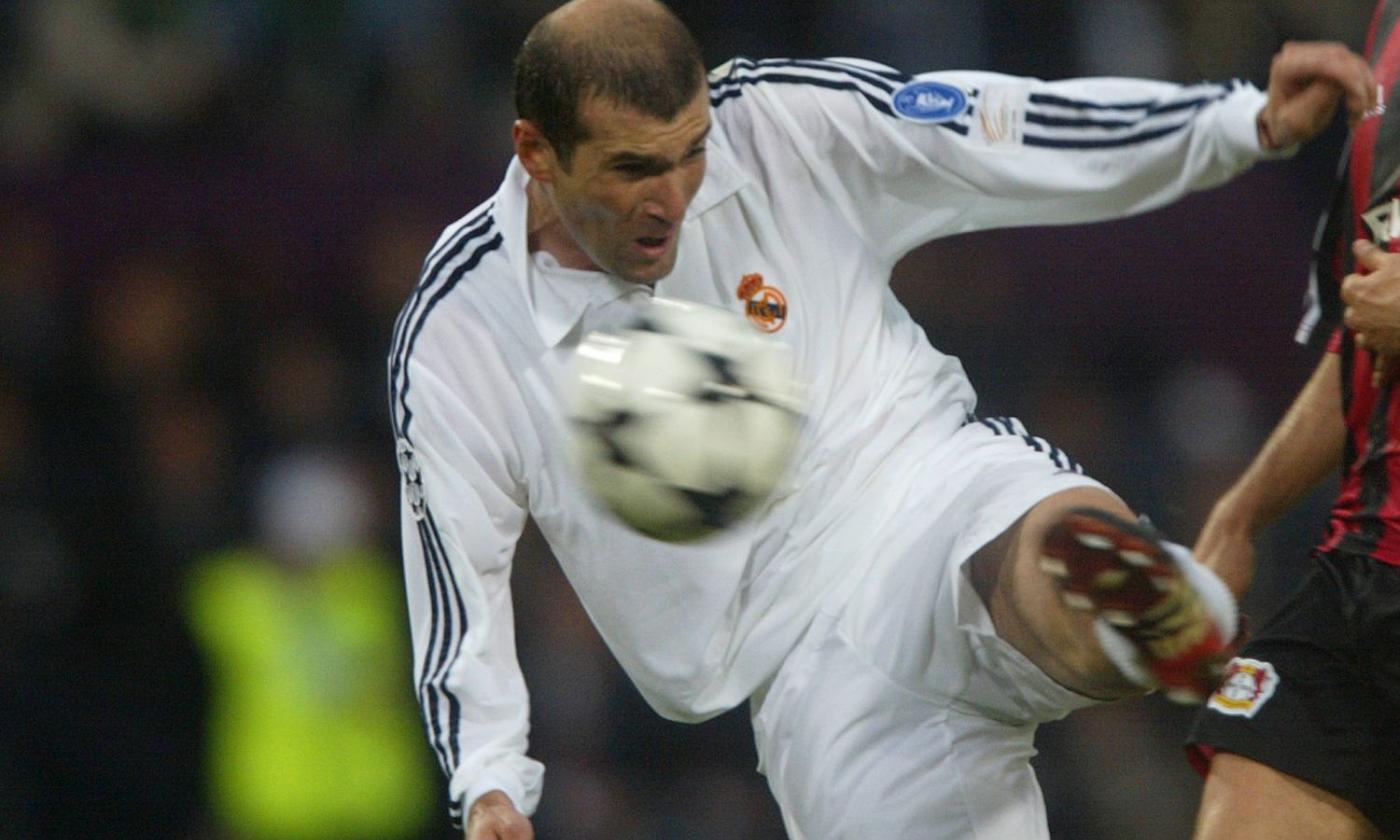 Zinedine Zidane Image gallery