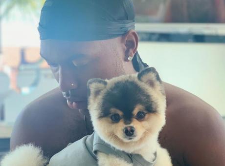 Sturridge, i ladri entrano in casa e gli rubano il cane: 'Pago qualsiasi cifra per riaverlo!'
