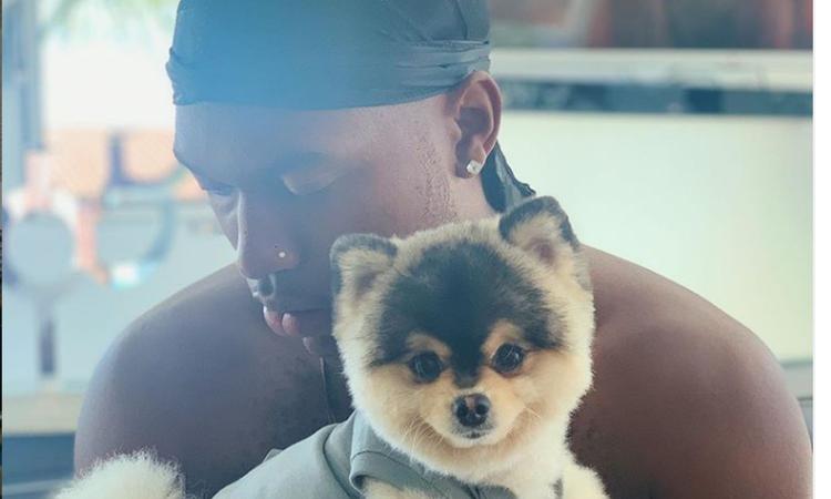 Sturridge, i ladri entrano in casa e gli rubano il cane: 'Pago qualsiasi cifra per riaverlo!'