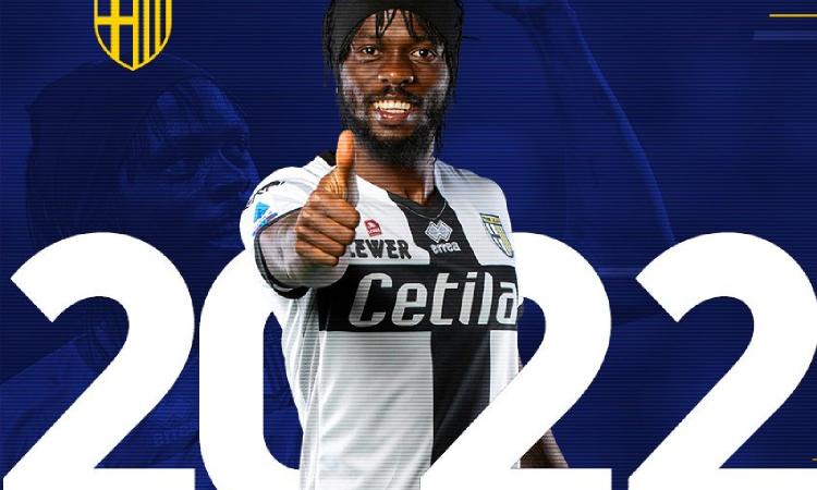 Parma, UFFICIALE: rinnova Gervinho