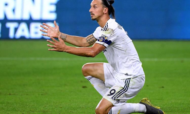 Il Bologna aspetta una risposta da Ibra, ecco quando decide