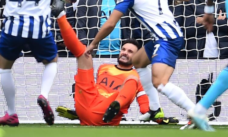 Lloris, 17mila euro per un cane da guardia