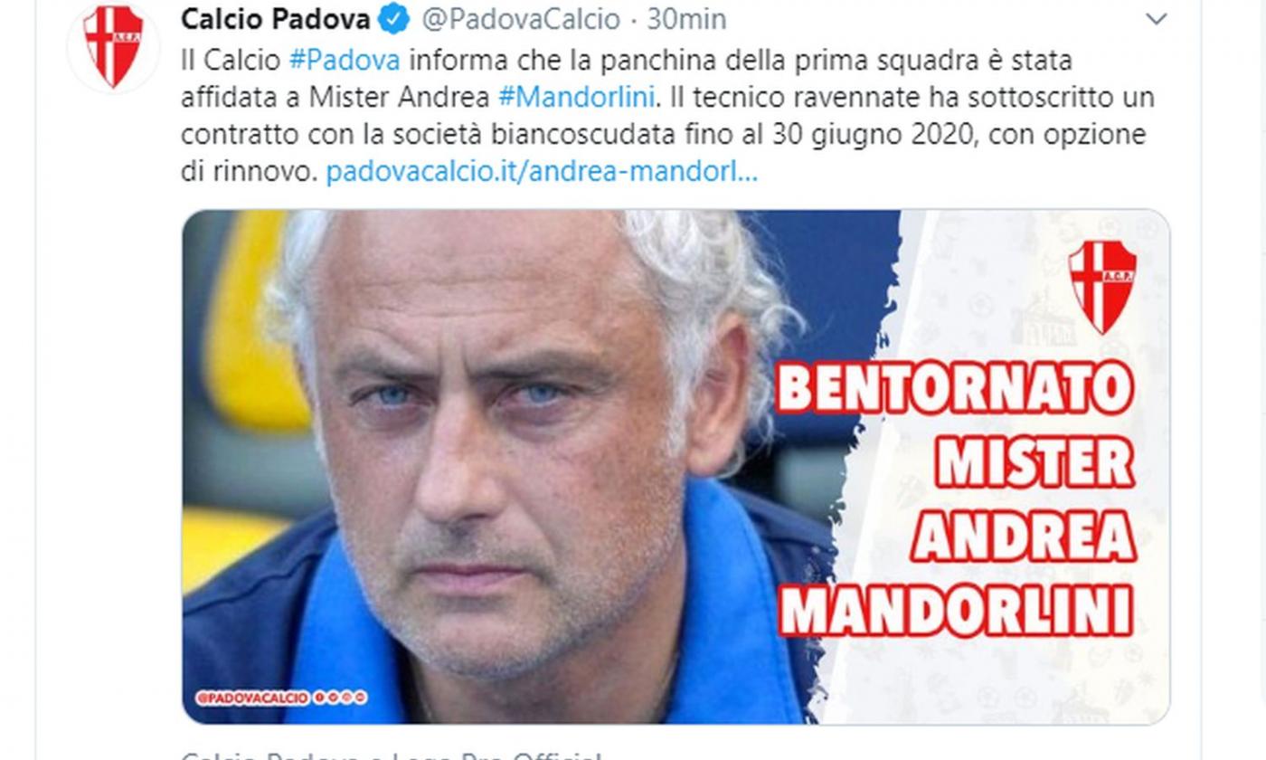 Padova, UFFICIALE: Mandorlini è il nuovo allenatore