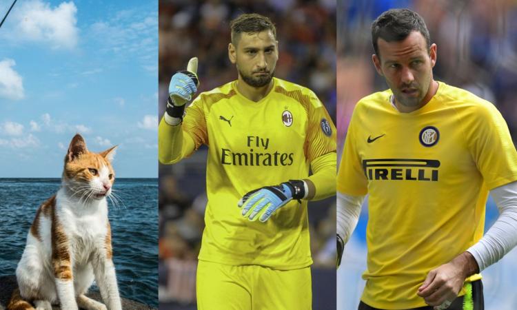 #Giornatadelgatto, da Handanovic e Donnarumma a Silvestri: qual è il miglior portiere della Serie A? VOTA