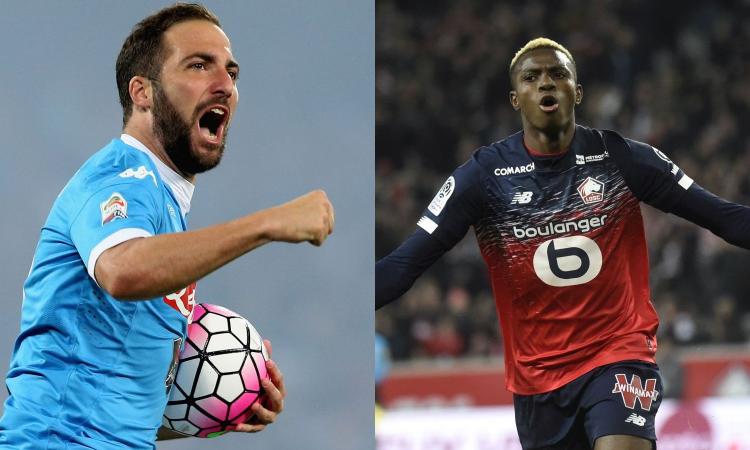 Napolimania: che rimpianto Higuain, ecco perché Osimhen è l'uomo giusto per colmare la carenza di gol