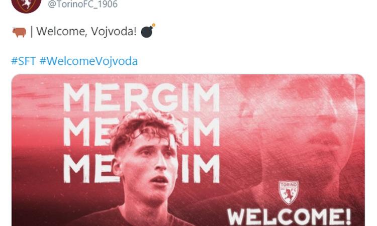 Vojvoda: 'Ho scelto il Torino per la sua storia'