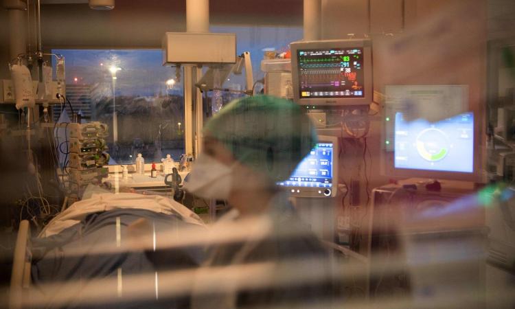 Coronavirus, il bollettino: 8.085 nuovi casi, 201 morti. Tasso di positività al +0,2%, calano le terapie intensive