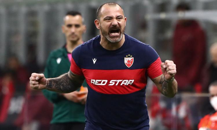 Stella Rossa, UFFICIALE: rinnovo per Stankovic Stella Rossa, UFFICIALE: rinnovo per Stankovic