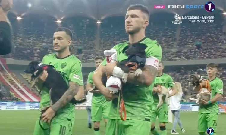 Romania, i calciatori scendono in campo con i cani randagi in braccio: 'Adottateli' VIDEO