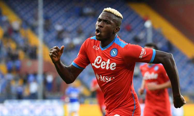 Napoli, il Bayern prepara l'offerta monstre per Osimhen: da Scamacca a Broja, le mosse per il sostituto