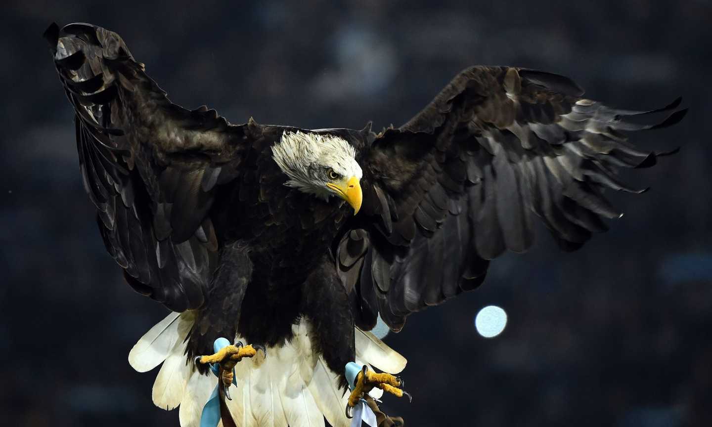 Lazio, vittoria anche nell'ultima amichevole ad Auronzo di Cadore: 2-0 al NK Bravo