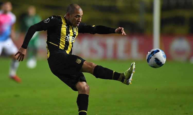 L'ex Inter e Napoli, Gargano denunciato in Uruguay per reati sessuali dopo un party