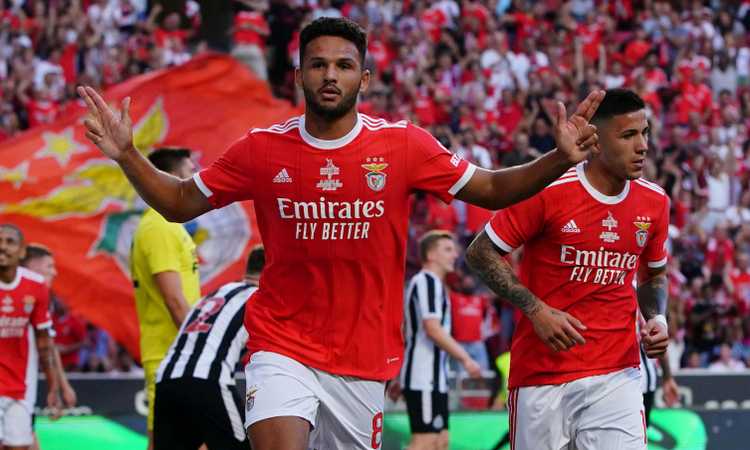 Enzo Fernandez brilha e marca, saída com o Benfica é um grito: Milan acerta e falha expectativa de Sanches |  Primeira página