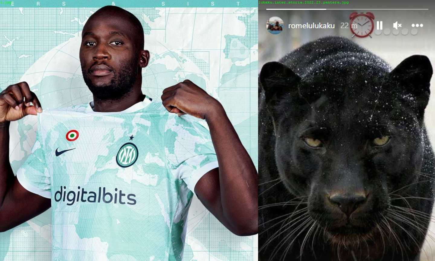 Inter, Lukaku scalda i motori: una pantera nelle storie per annunciare il rientro FOTO